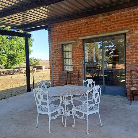Hotel Hillside Farm Trompsburg Esterno foto