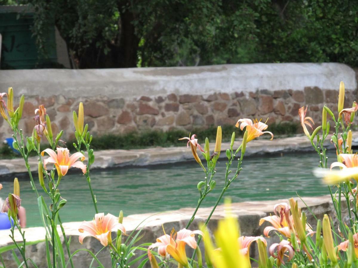 Hotel Hillside Farm Trompsburg Esterno foto